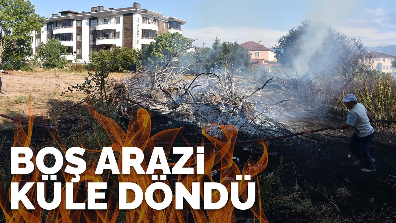 Boş arazi küle döndü!