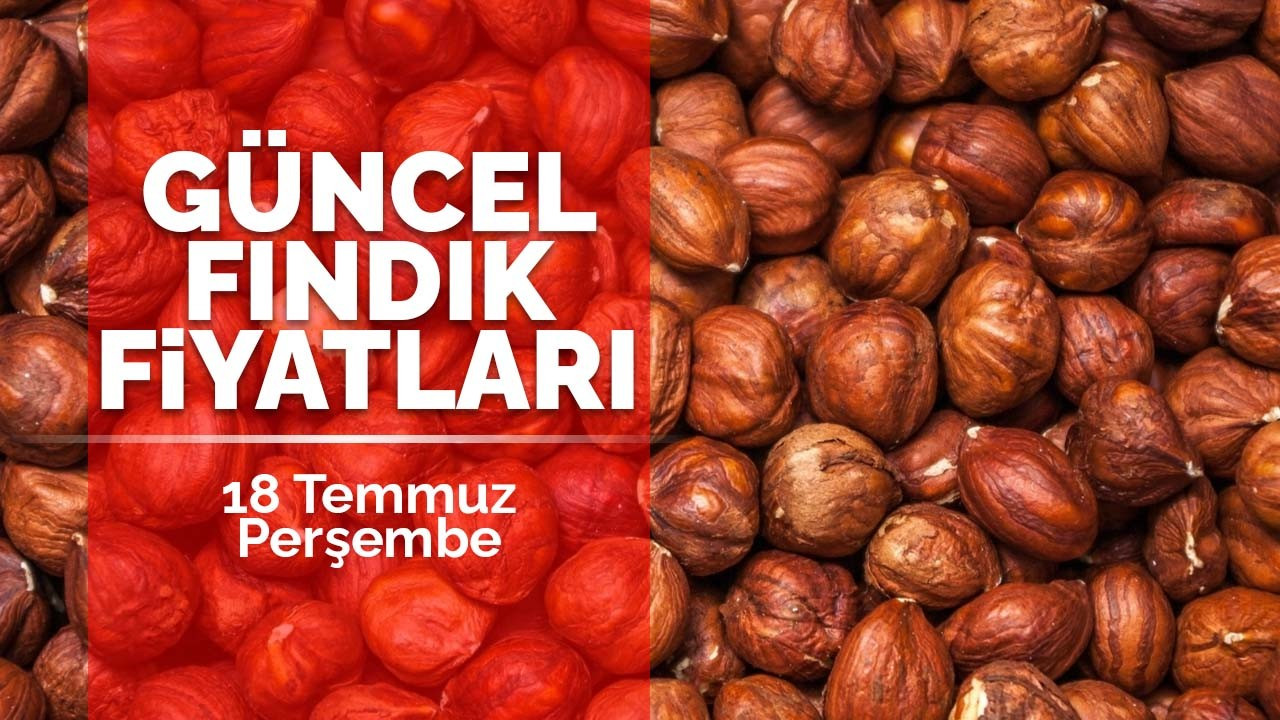 18 Temmuz Perşembe Güncel Fındık Fiyatlar