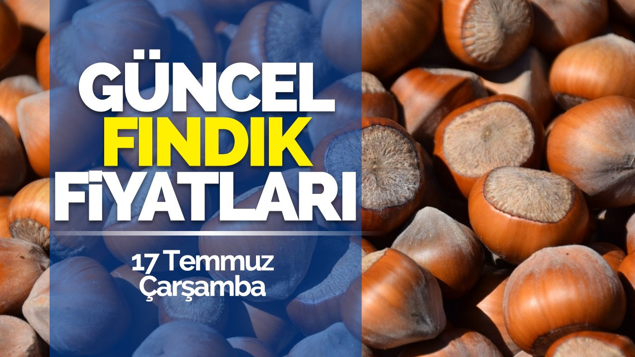 17 Temmuz Çarşamba Güncel Fındık Fiyatlar