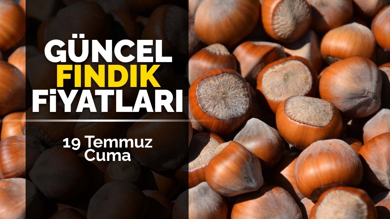 19 Temmuz Cuma Güncel Fındık Fiyatlar