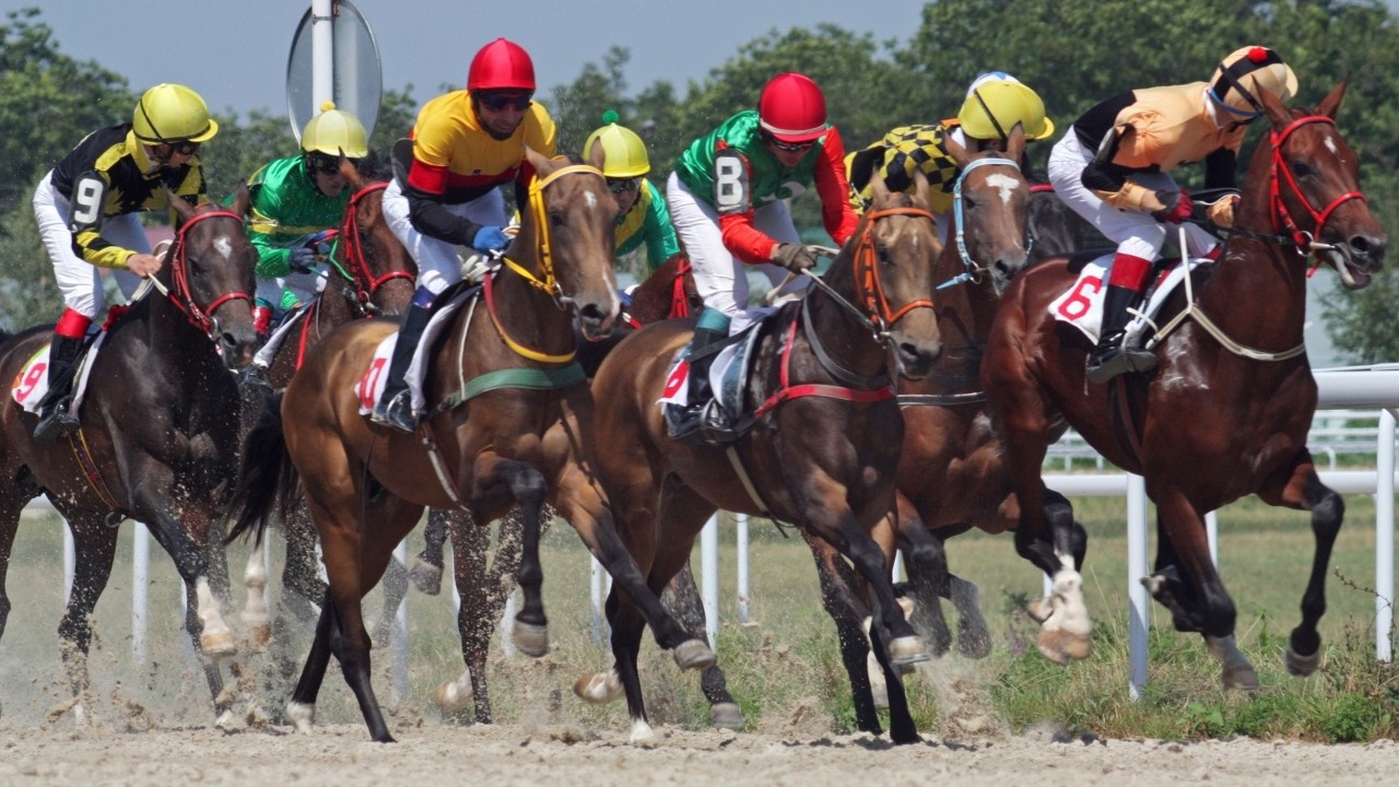 At yarışı Tahminleri Bursa 19 Temmuz 2024