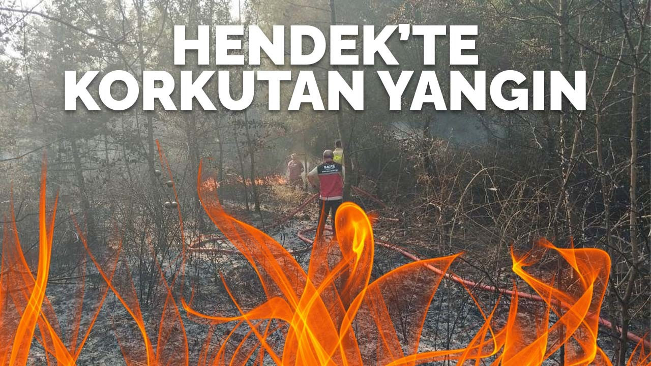 Hendek'te korkutan yangın