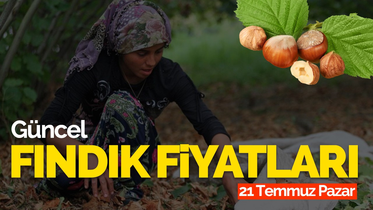 21 Temmuz Pazar Güncel Fındık Fiyatlar