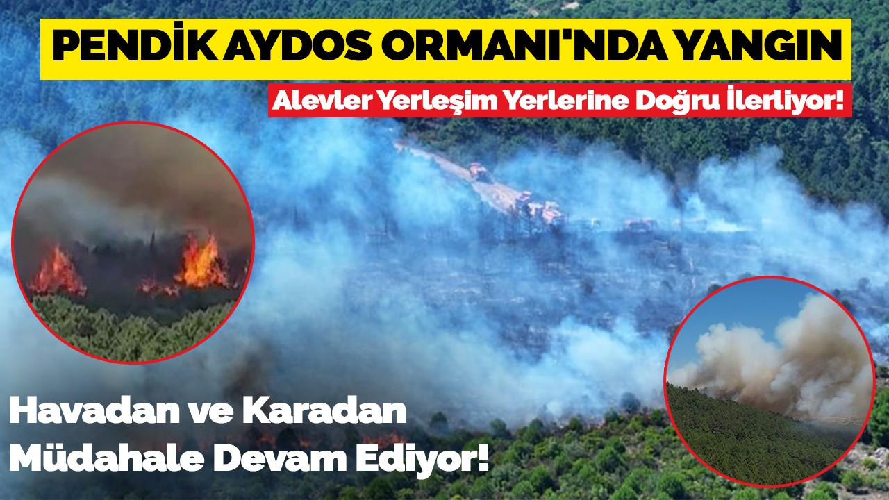 Aydos Ormanı'nda Korkutan Yangın!