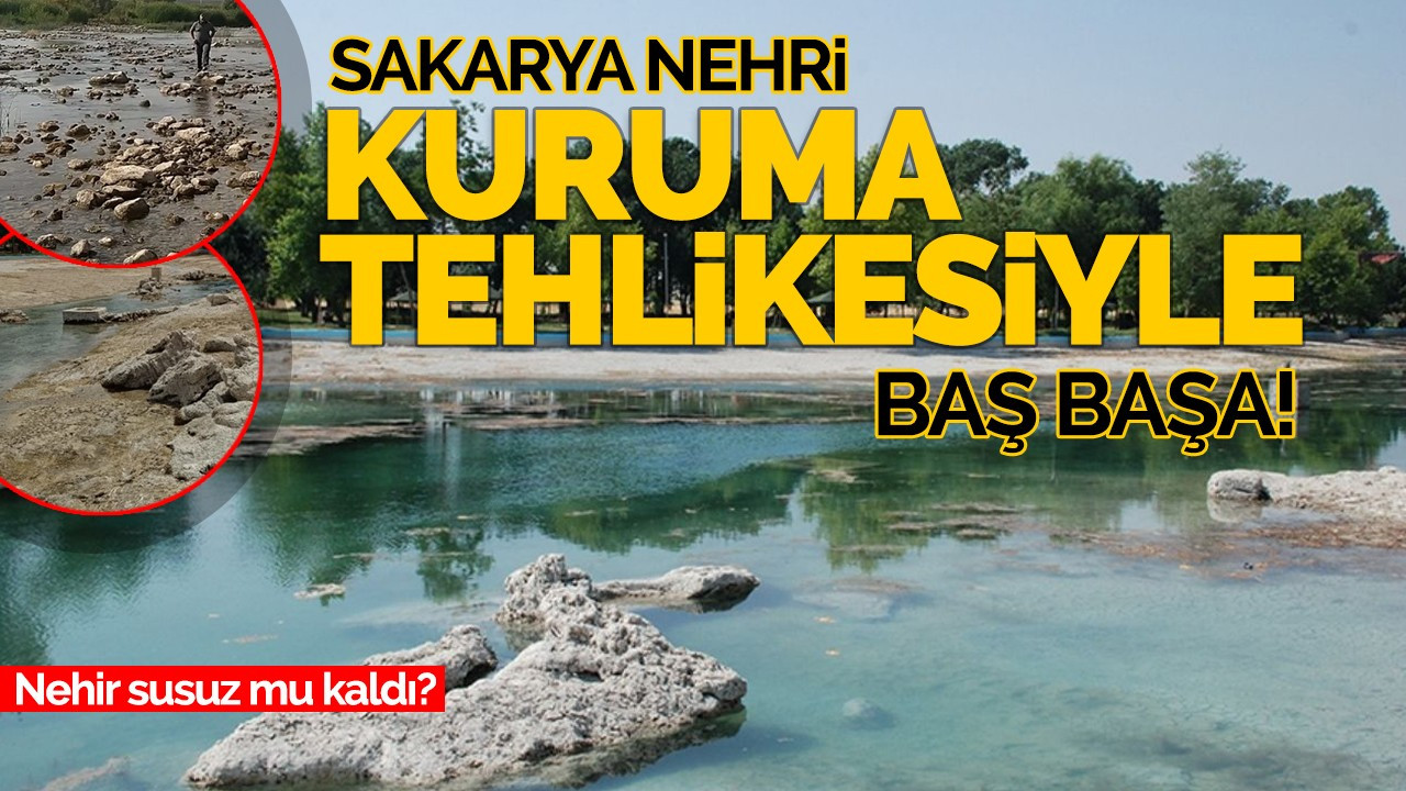 SAKARYA NEHRİ KURUMA TEHLİKESİYLE KARŞI KARŞIYA