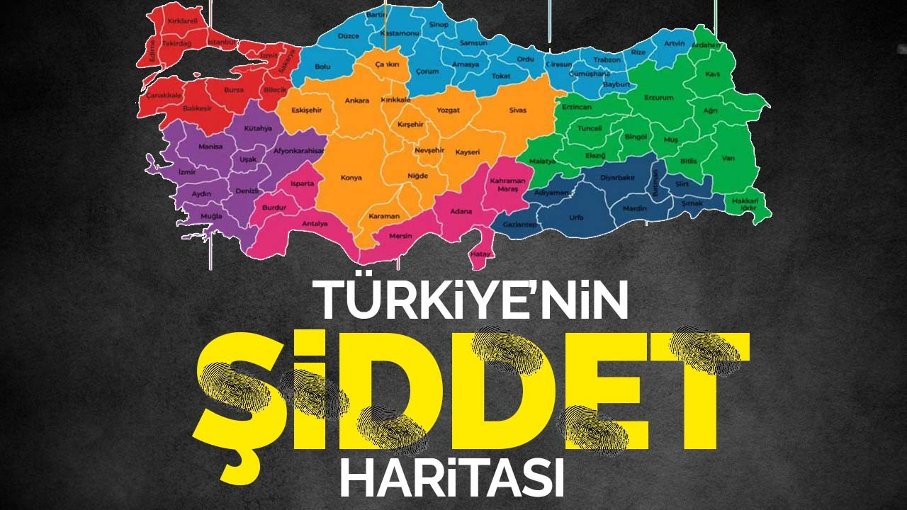 Türkiye'nin şiddet haritası!