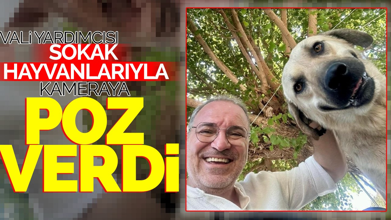 Vali Yardımcısı Sokak Hayvanlarıyla Kameraya Poz Verdi