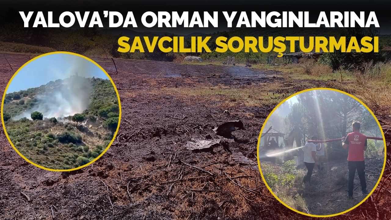 Yalova’da Çıkan Orman Yangınlarıyla İlgili Savcılık Soruşturma Başlattı