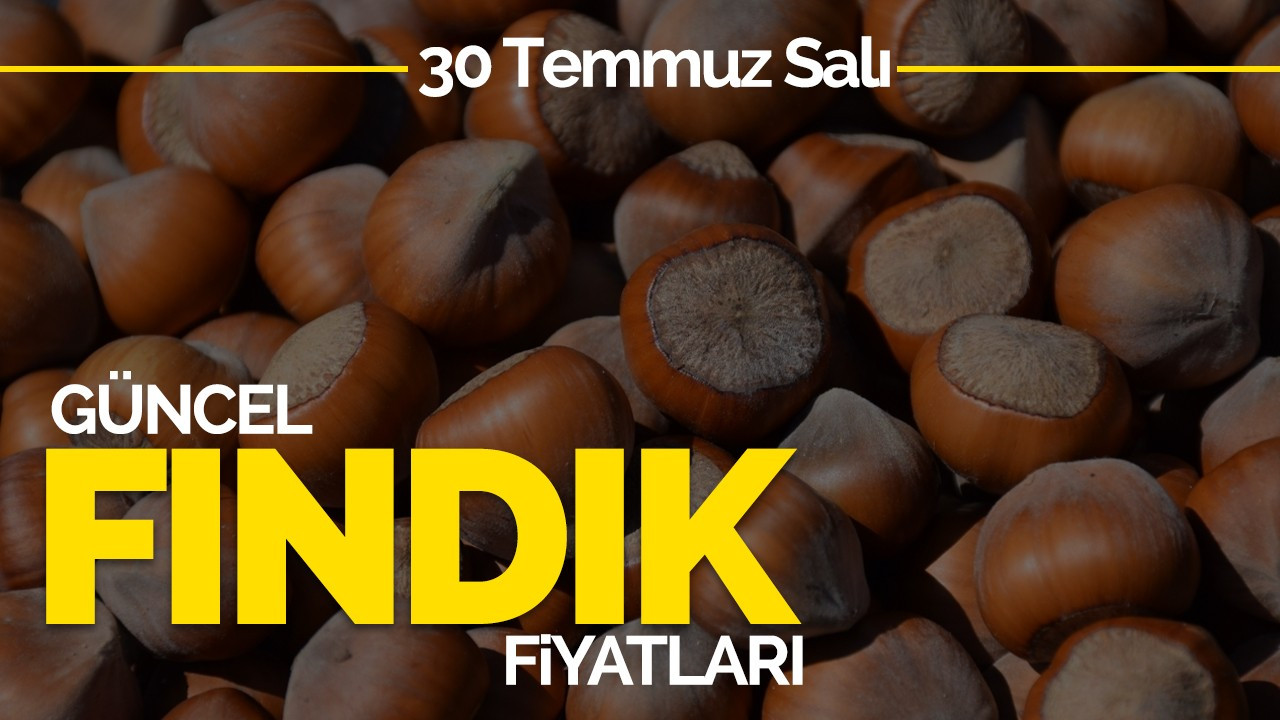 30 Temmuz Salı Güncel Fındık Fiyatlar