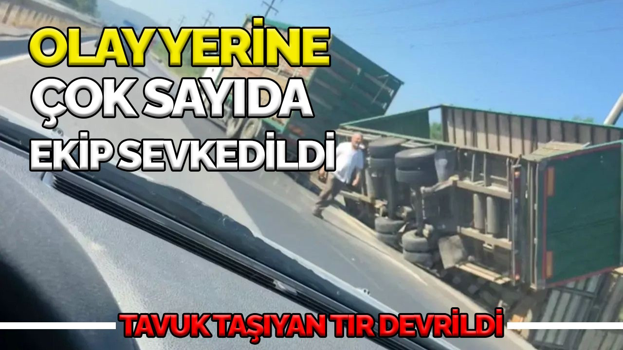 Tavuk taşıyan tır devrildi