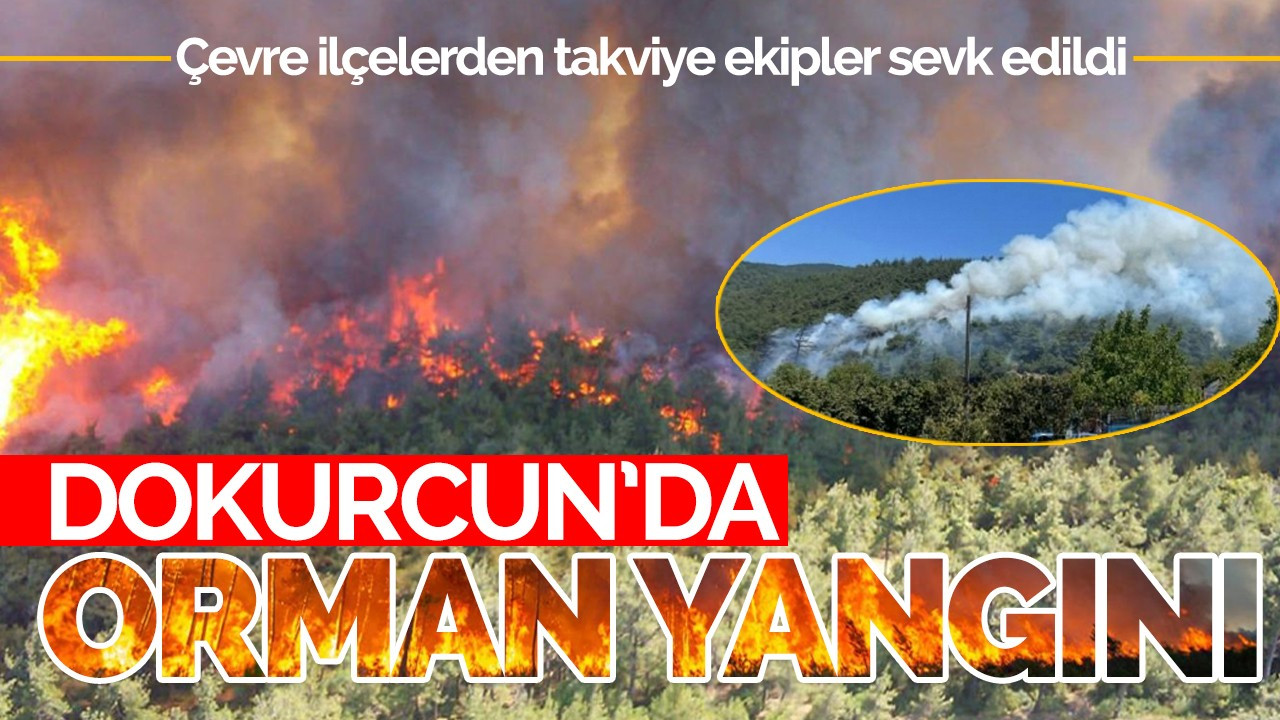 Dokurcun'da orman yangını!