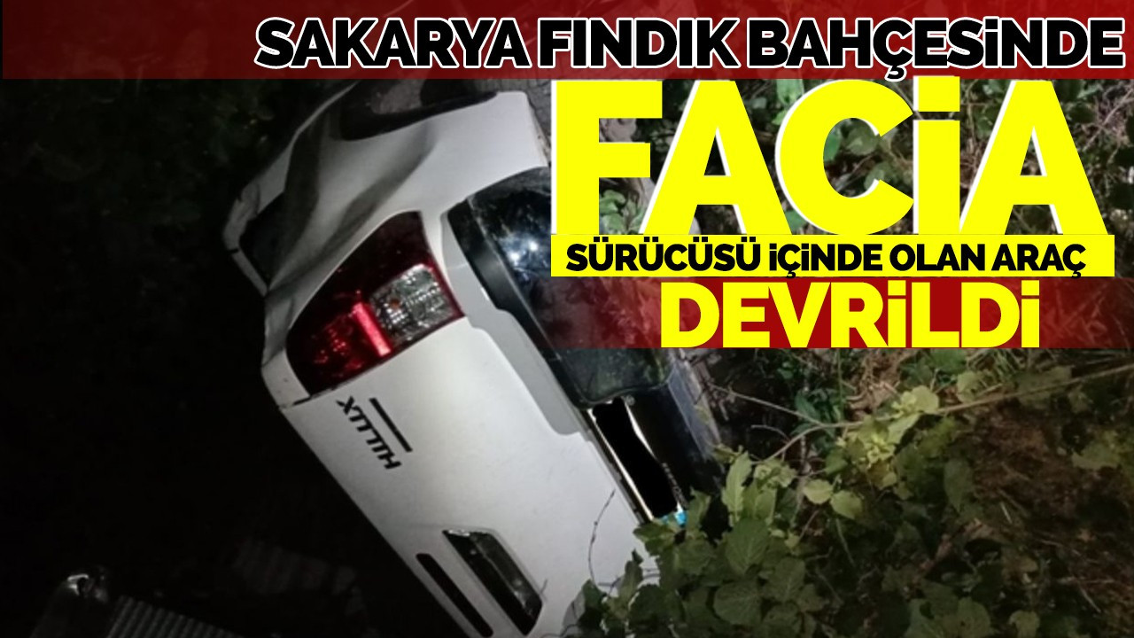 Sakarya Fındık Bahçesinde Facia! Sürücüsü İçinde Olan Araç Devrildi