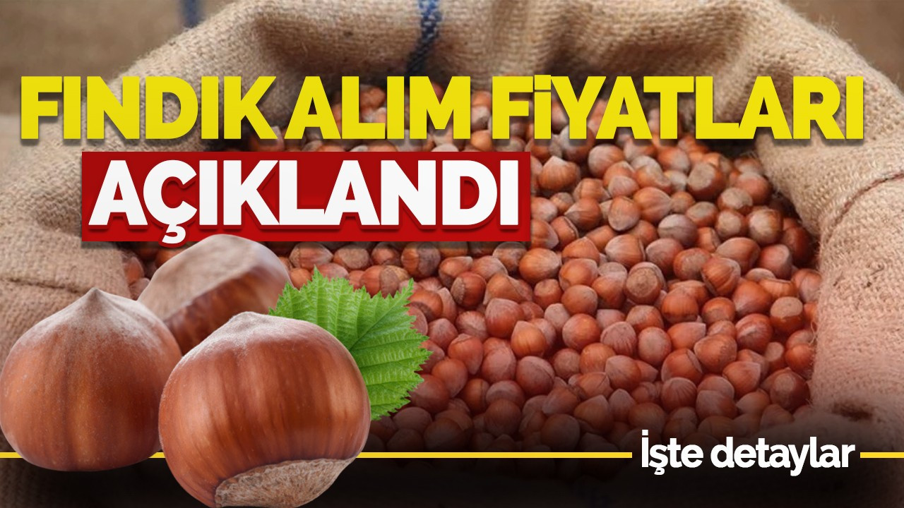 Bakanlık Kabuklu Fındık Alım Fiyatını Açıkladı