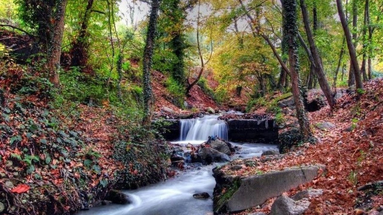 Sakarya'nın gezilecek yerleri ve mimari yapıları