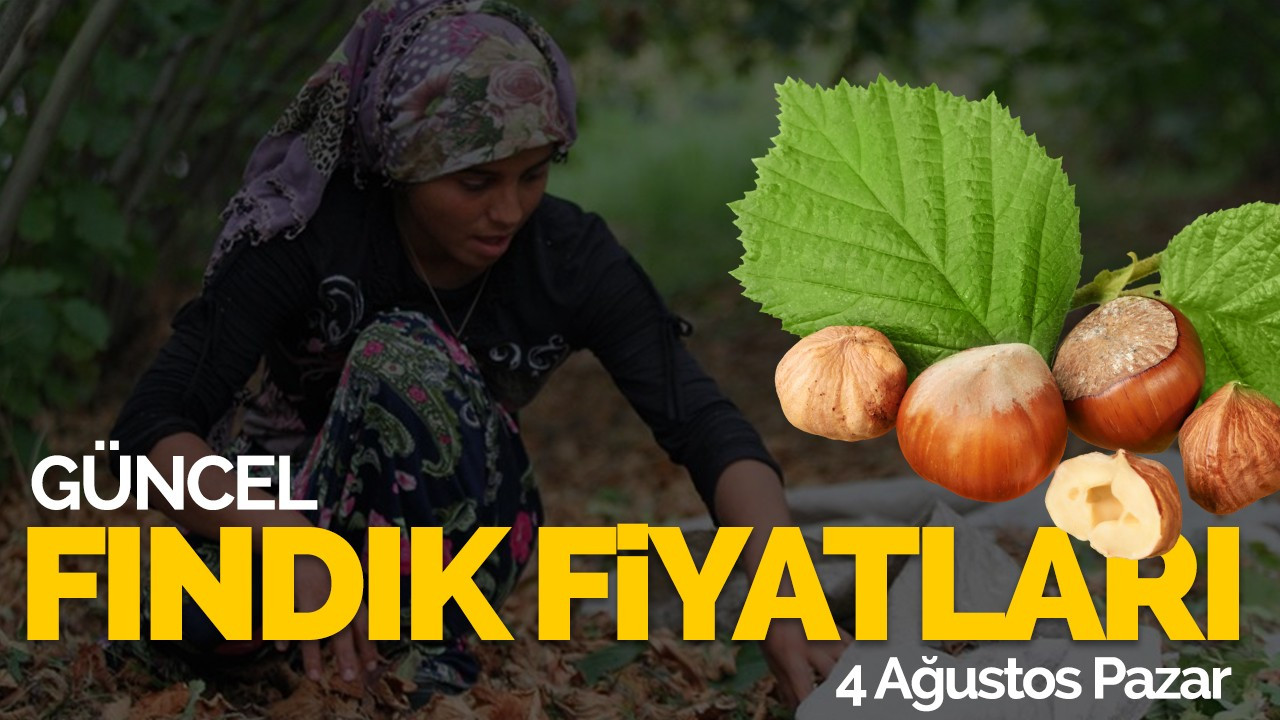 4 Ağustos Pazar Güncel Fındık Fiyatlar