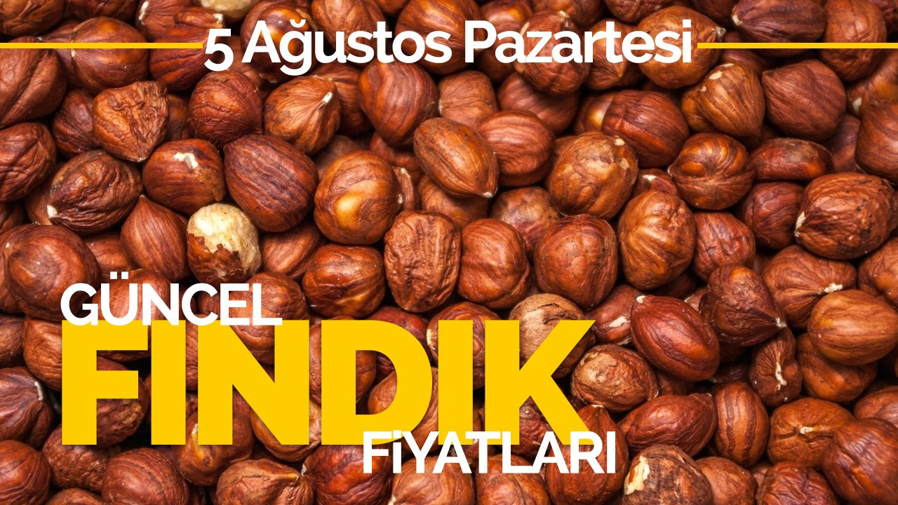 5 Ağustos Pazartesi Güncel Fındık Fiyatlar