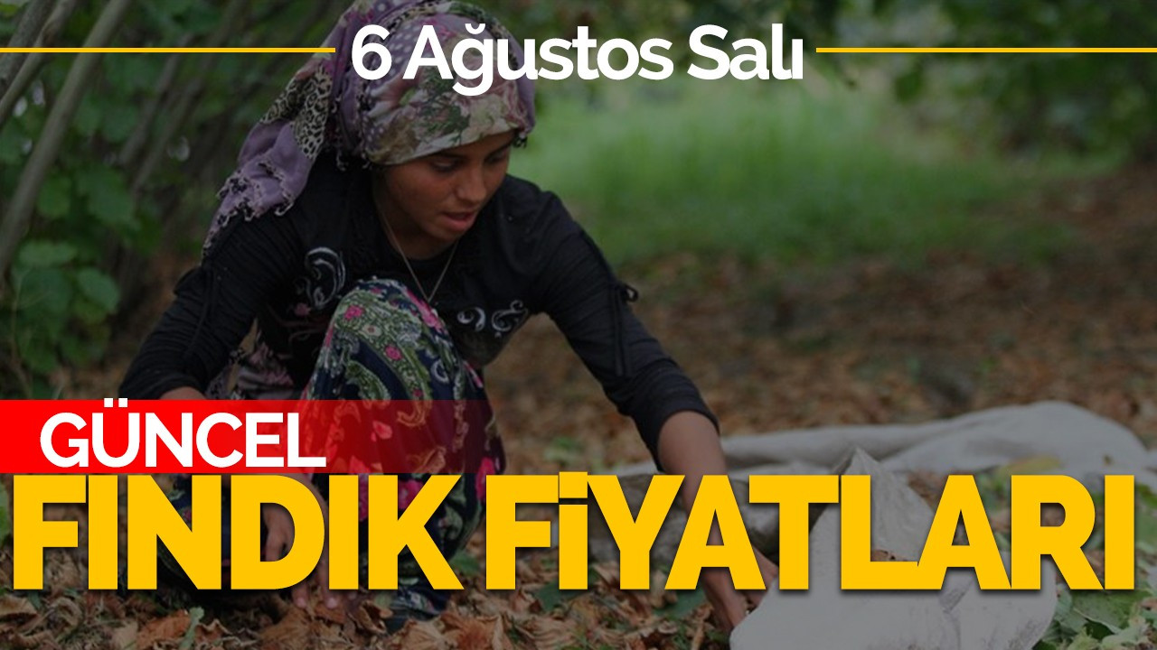 6 Ağustos Salı Güncel Fındık Fiyatlar