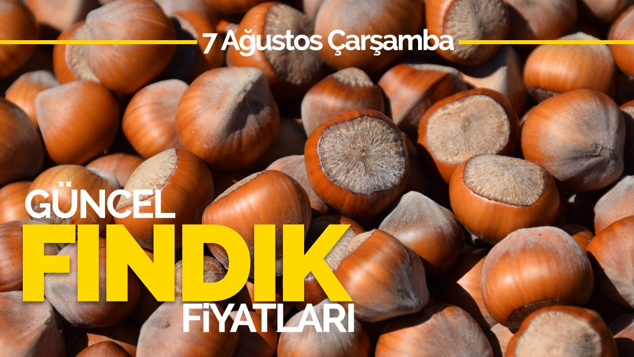 7 Ağustos Çarşamba Güncel Fındık Fiyatlar