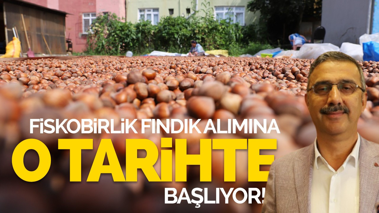 FİSKOBİRLİK fındık alımına o tarihte başlıyor!