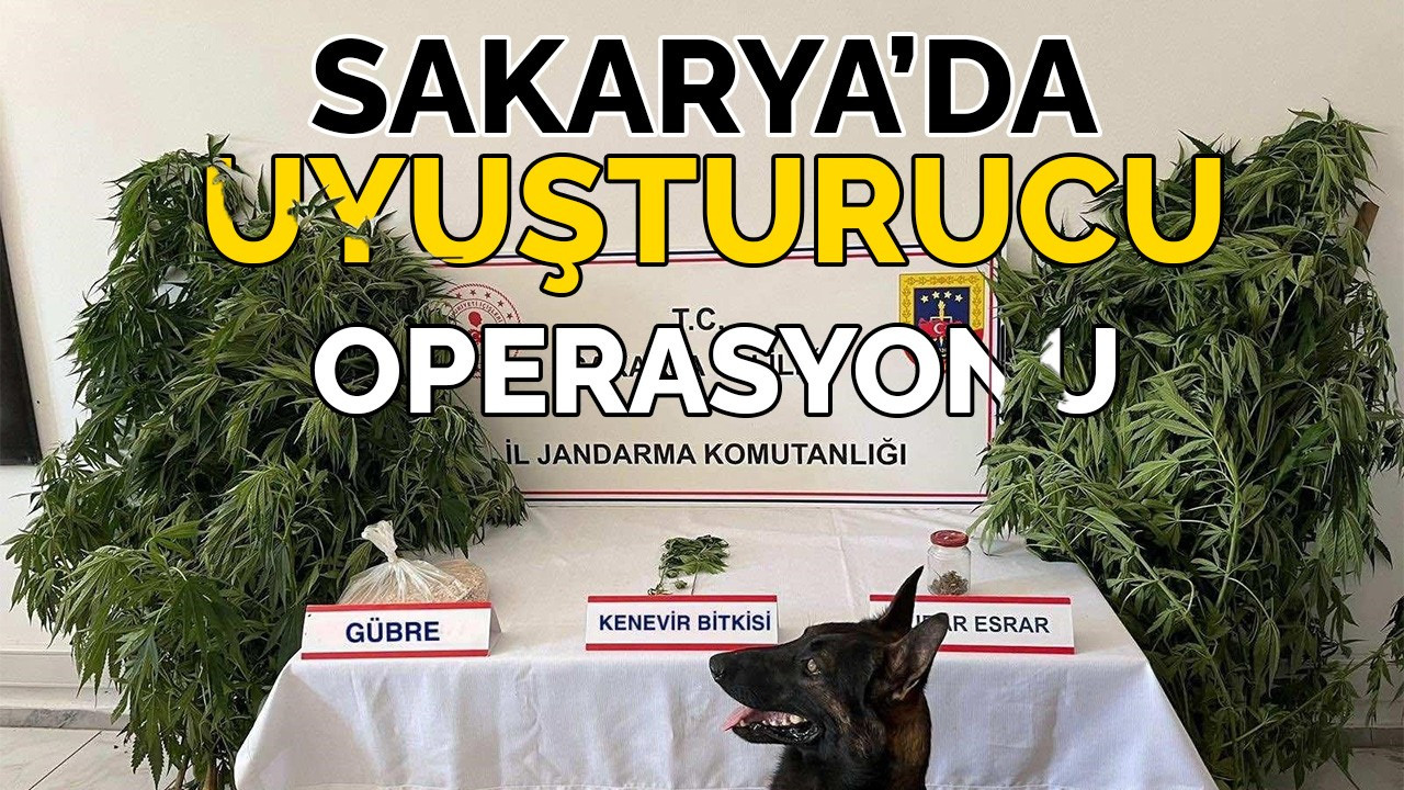 Sakarya’da uyuşturucu operasyonu 14 tutuklama