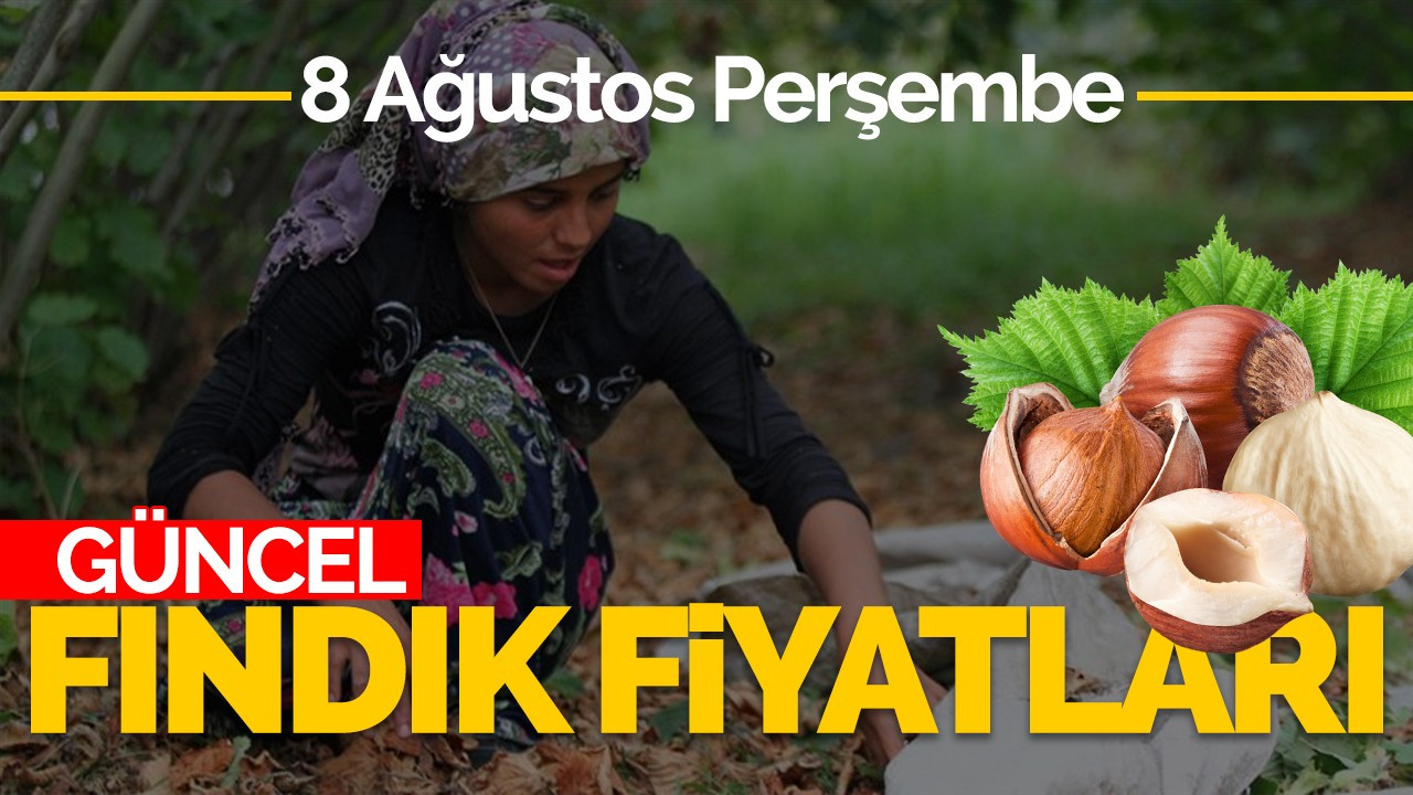 8 Ağustos Perşembe Güncel Fındık Fiyatlar