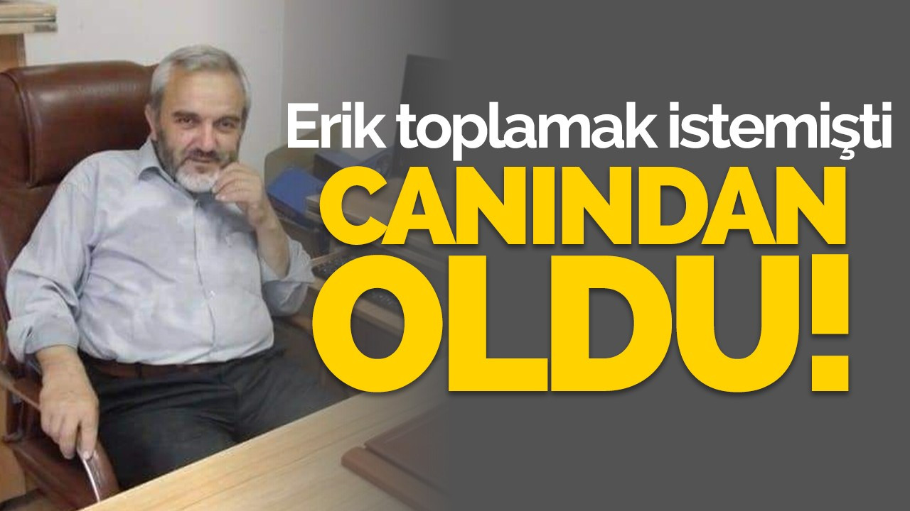 Erik toplamak istemişti canından oldu!