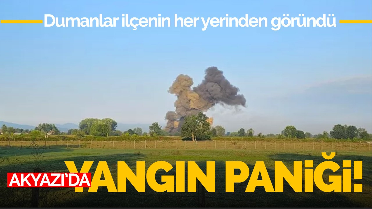 Akyazı'da yangın paniği!