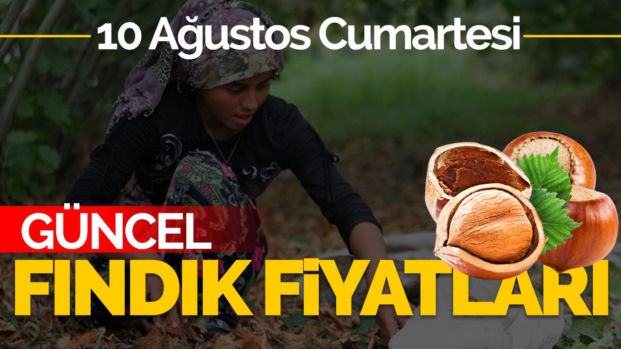 10 Ağustos Cumartesi Güncel Fındık Fiyatlar