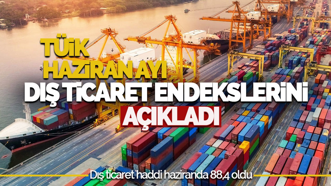 TÜİK Haziran Ayı Dış Ticaret Endekslerini Açıkladı