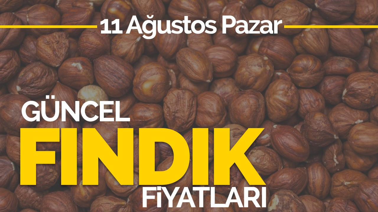 11 Ağustos Pazar Güncel Fındık Fiyatlar