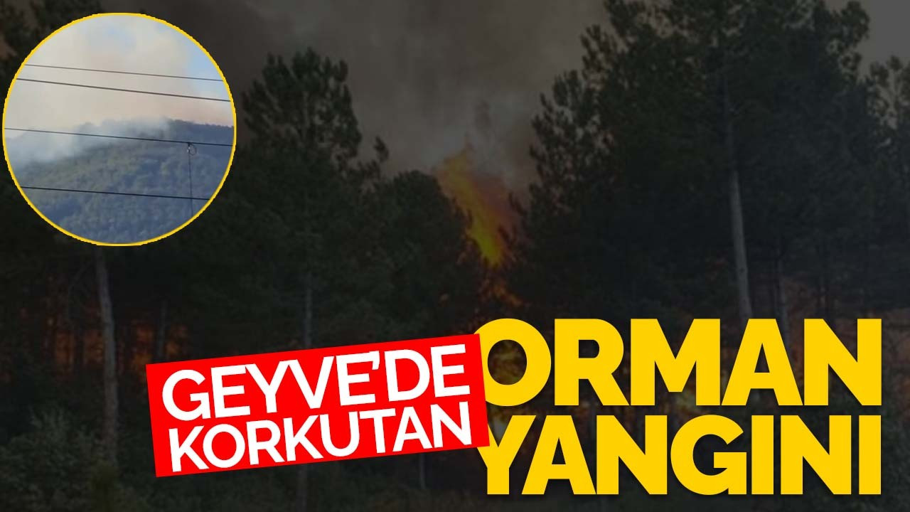 Geyve'de korkutan orman yangını: Müdahale sürüyor!