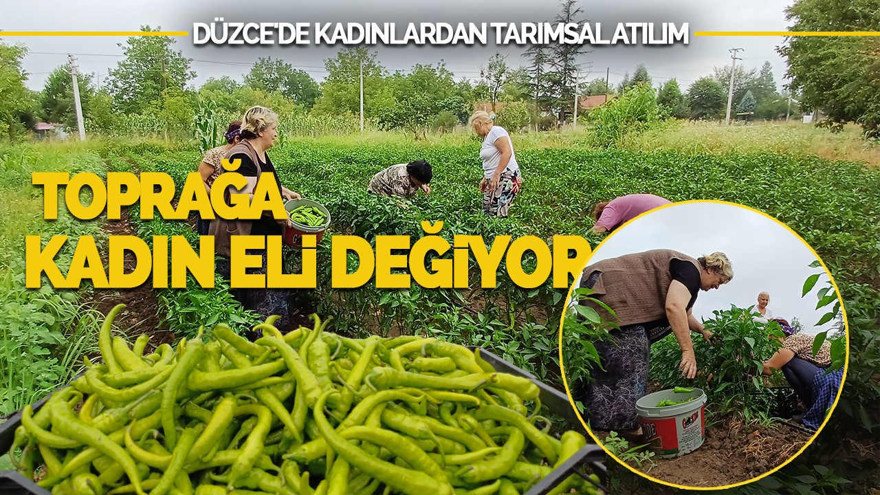 Düzce'de Kadınlardan Tarımsal Atılım