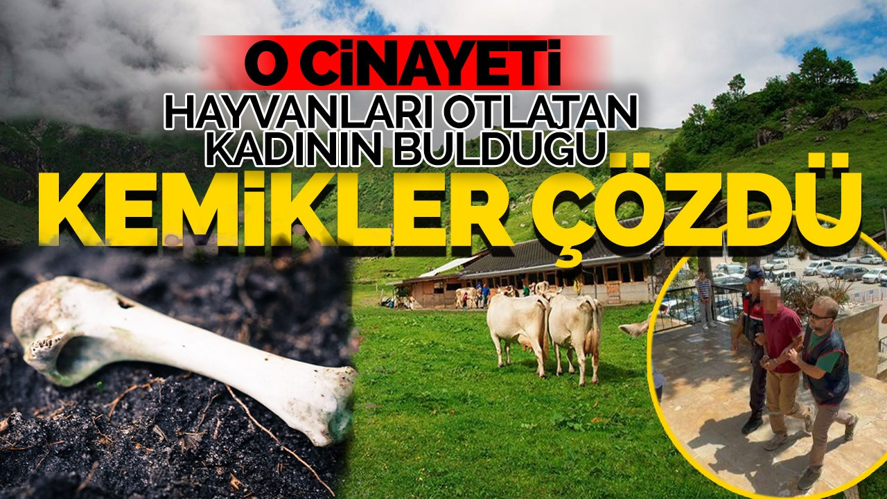 O Cinayeti Hayvanları Otlatan Kadının Bulduğu Kemikler Çözdü!