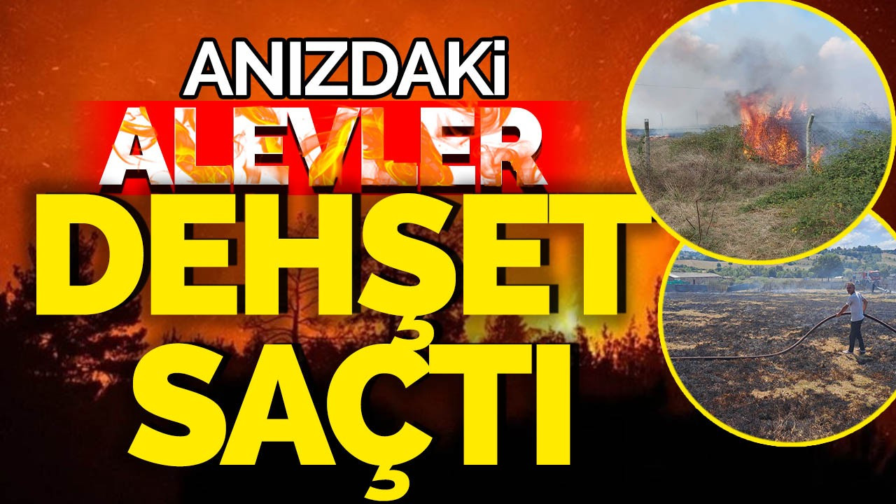 Anızdaki Alevler Dehşet Saçtı