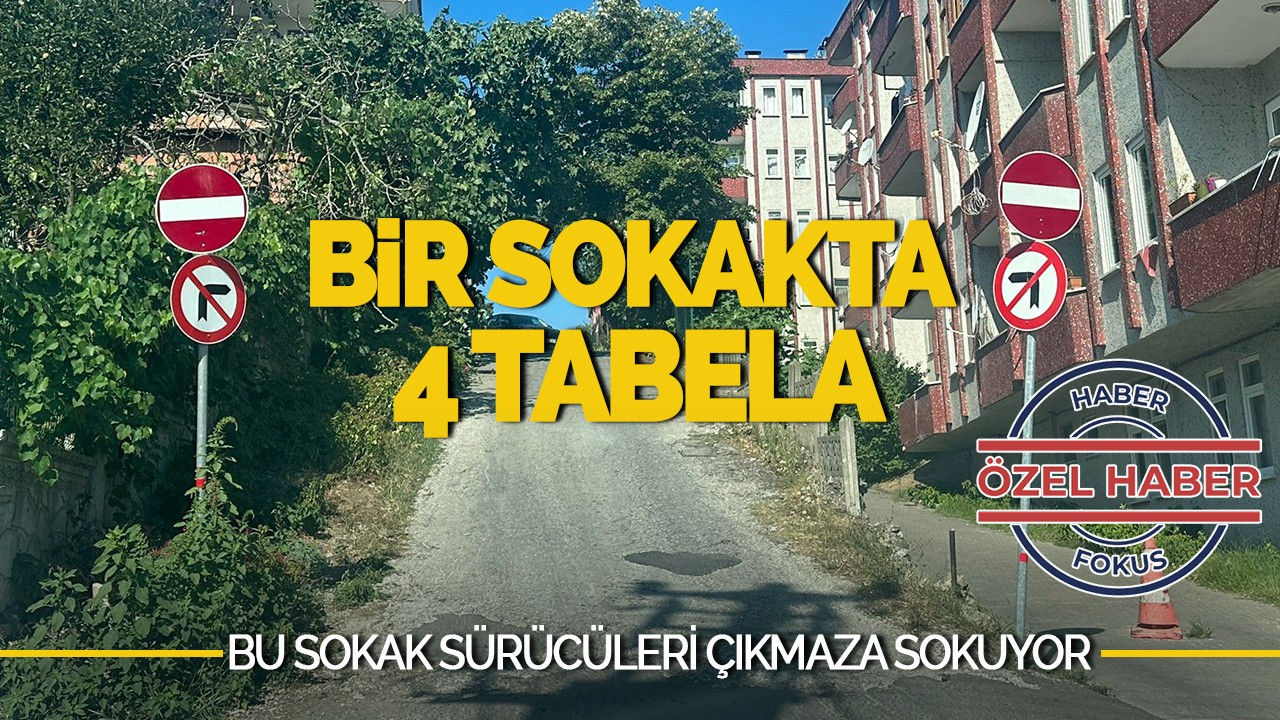 Bir Sokakta 4 Tabela: Bu Sokak Sürücüleri Çıkmaza Sokuyor