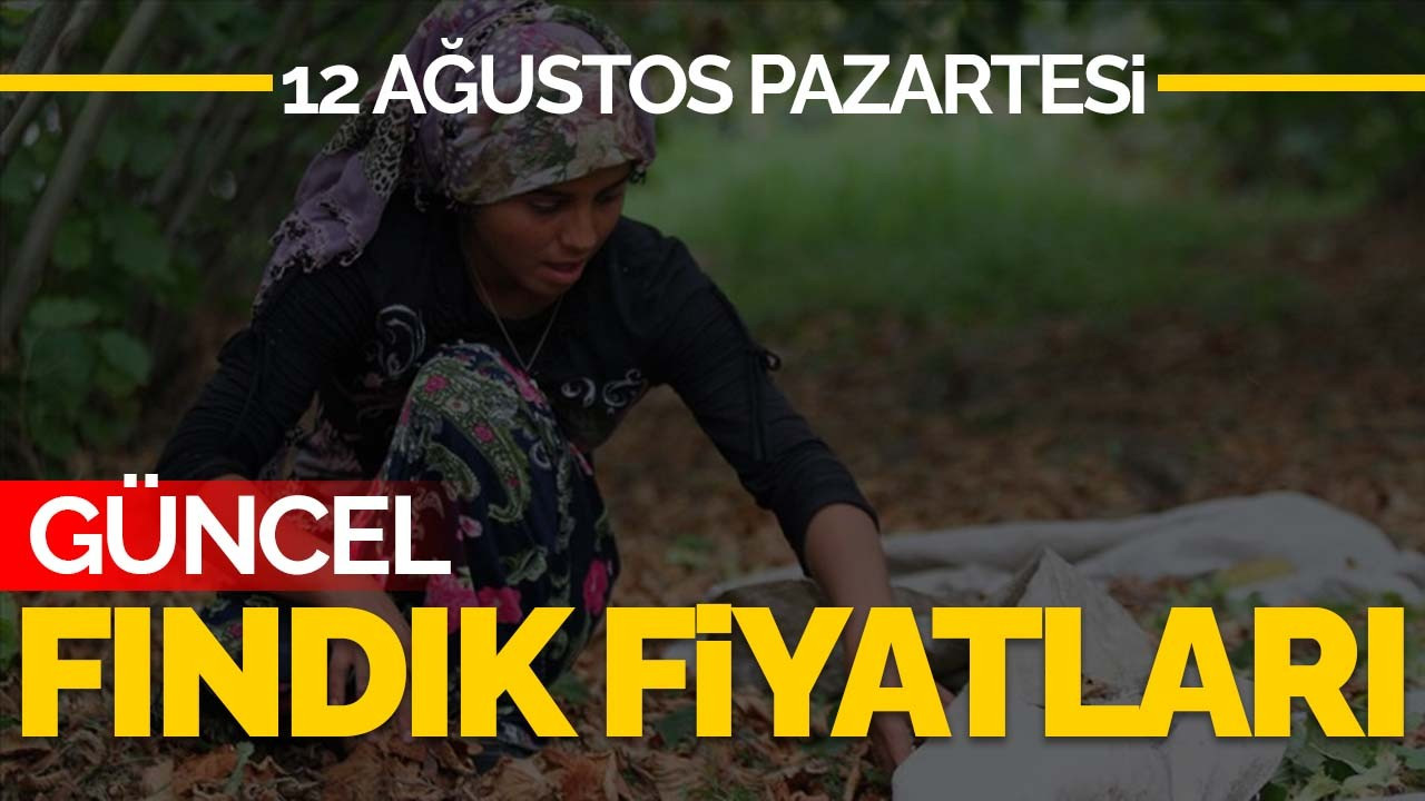 12 Ağustos Pazartesi Güncel Fındık Fiyatlar