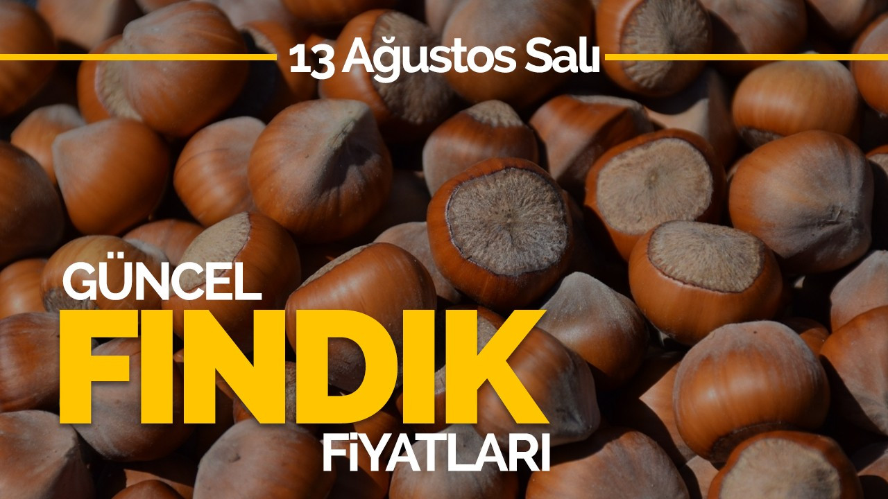 13 Ağustos Salı Güncel Fındık Fiyatları