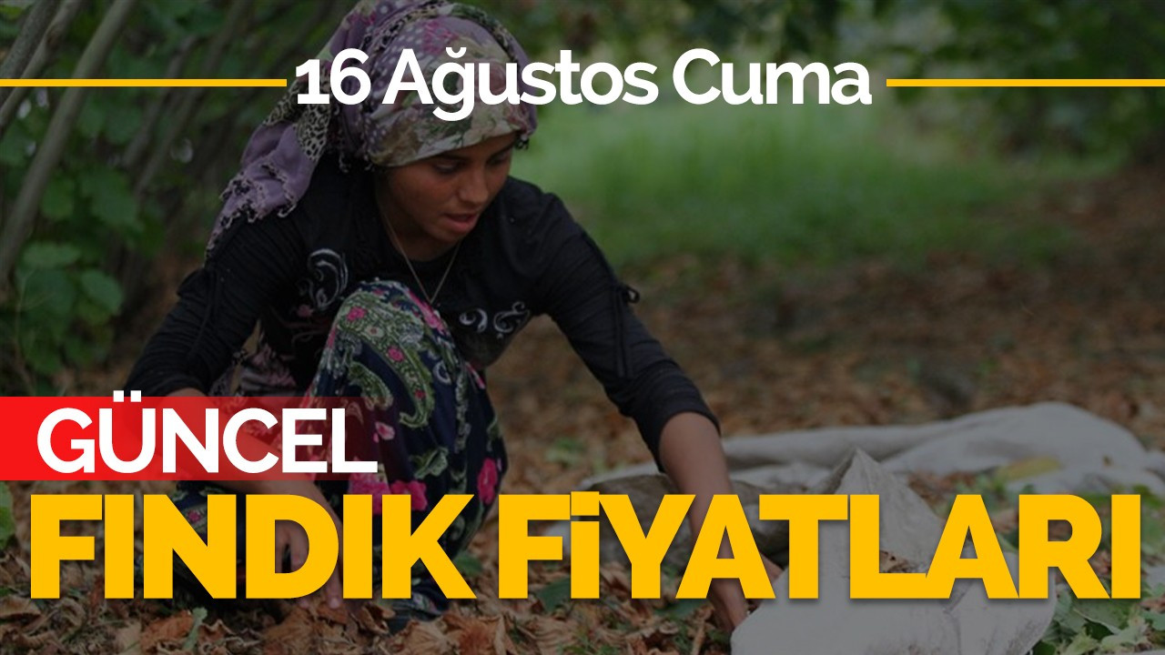 16 Ağustos Cuma Güncel Fındık Fiyatları