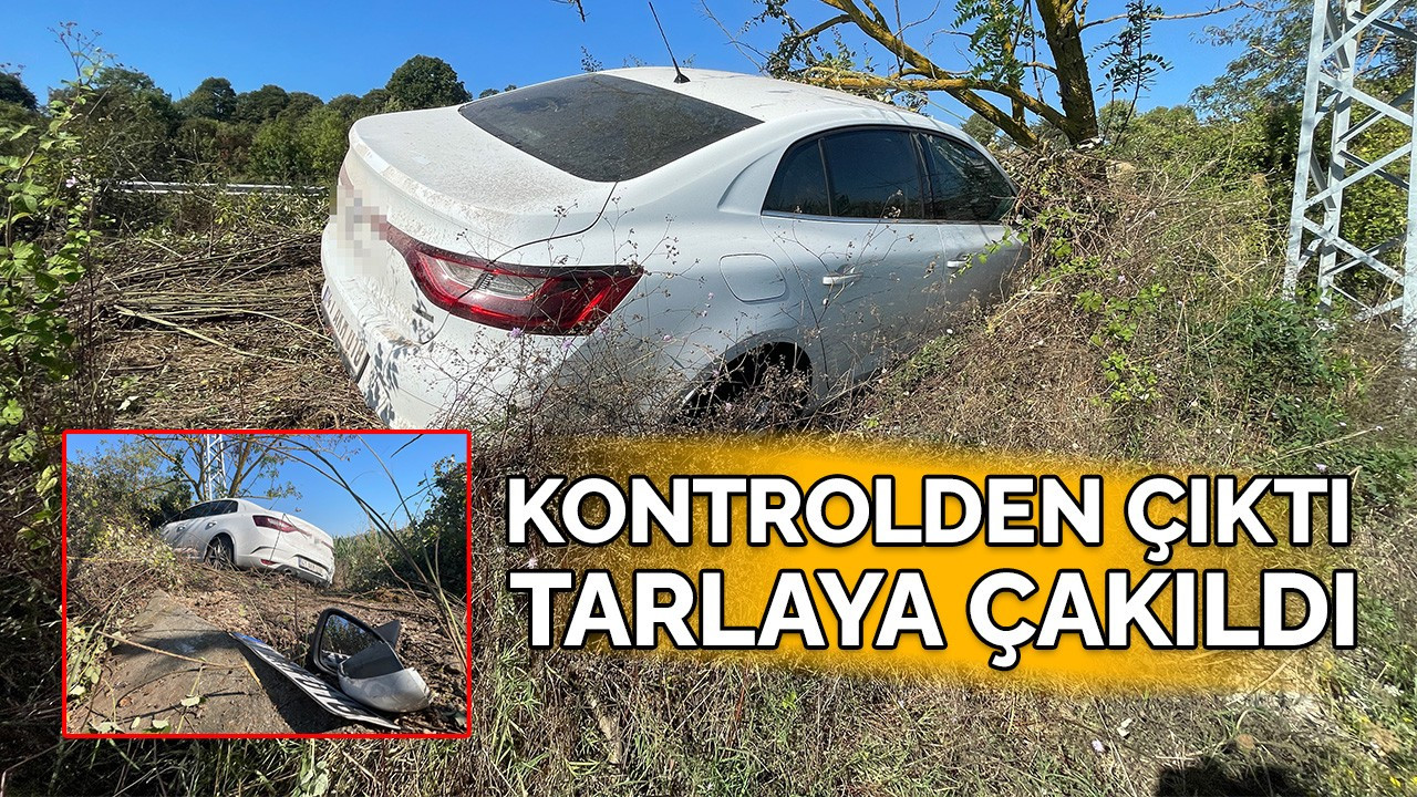 Kontrolden çıkan otomobil, tarlaya girdi