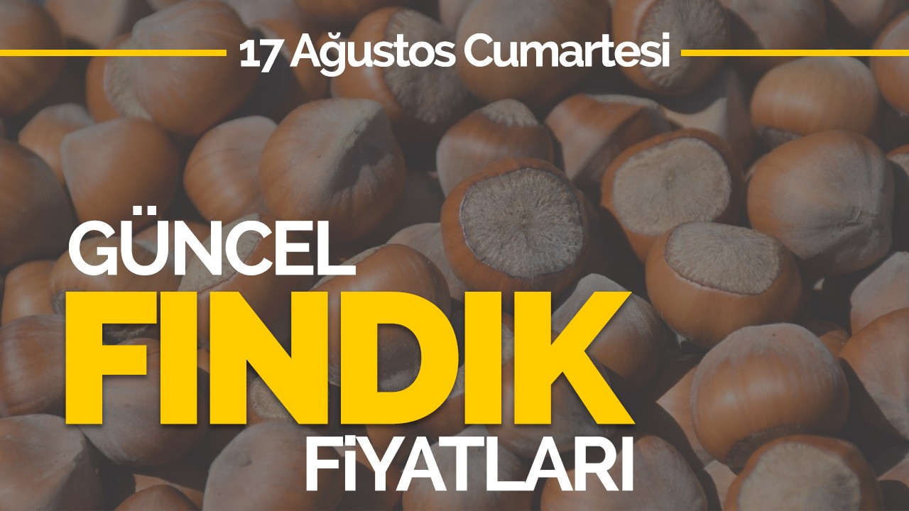 17 Ağustos Cumartesi Güncel Fındık Fiyatları