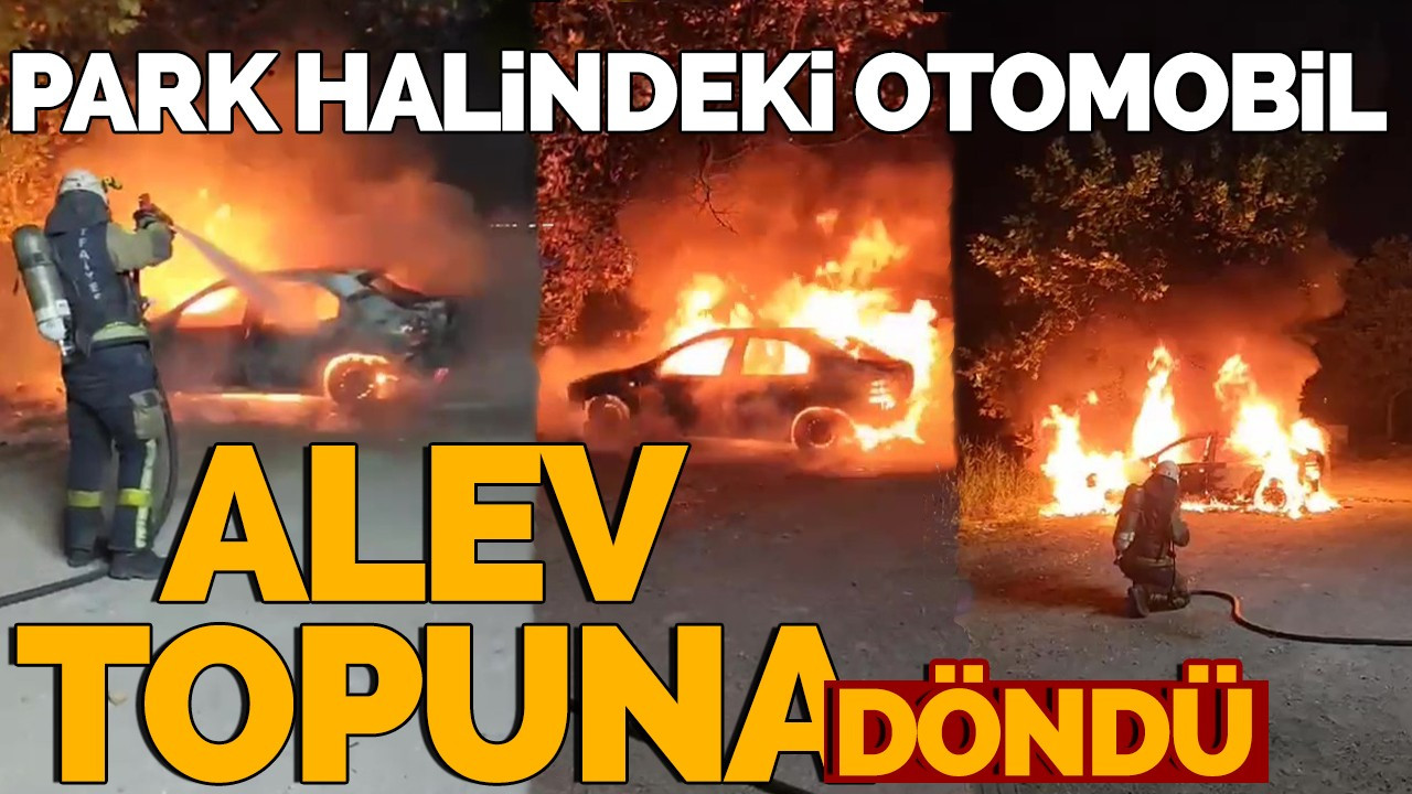 Park halindeki otomobil alev topuna döndü