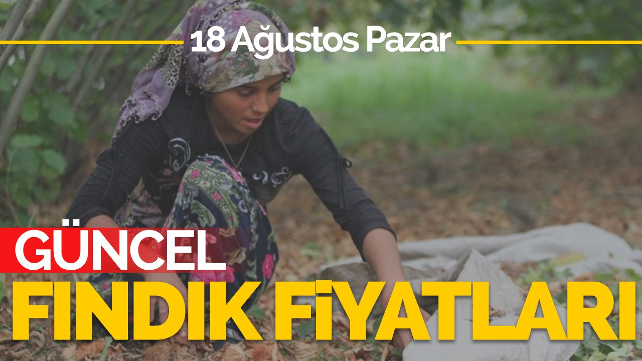 18 Ağustos Pazar Güncel Fındık Fiyatları