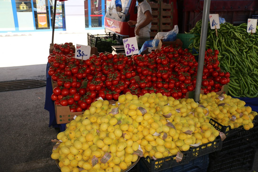 Sakarya Pazar Fiyatı