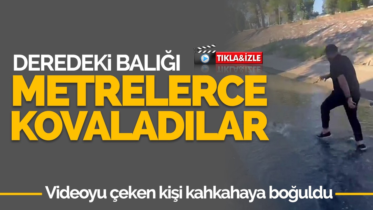 Balığı metrelerce kovaladılar