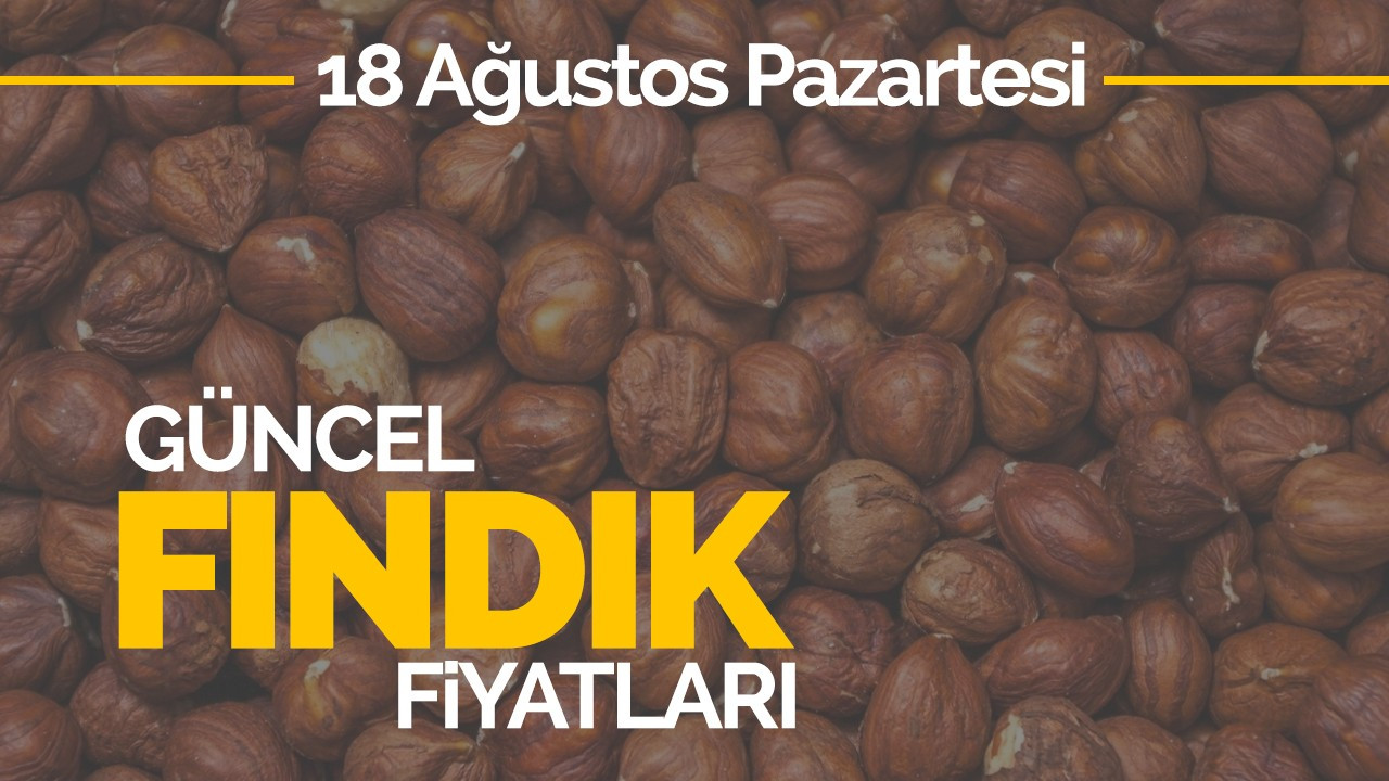 19 Ağustos Pazartesi Güncel Fındık Fiyatları