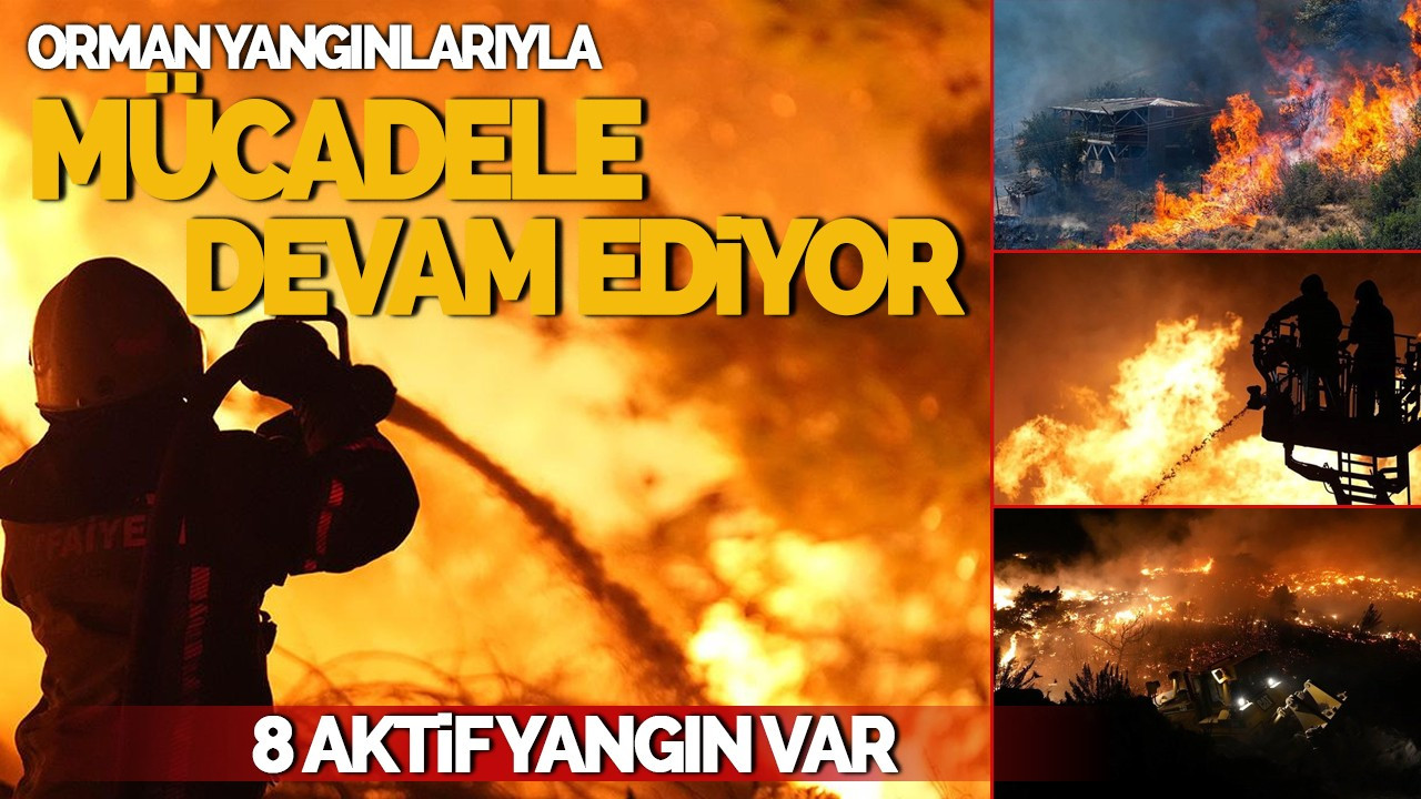 Orman yangınlarıyla Mücadele 8 Noktada Devam Ediyor