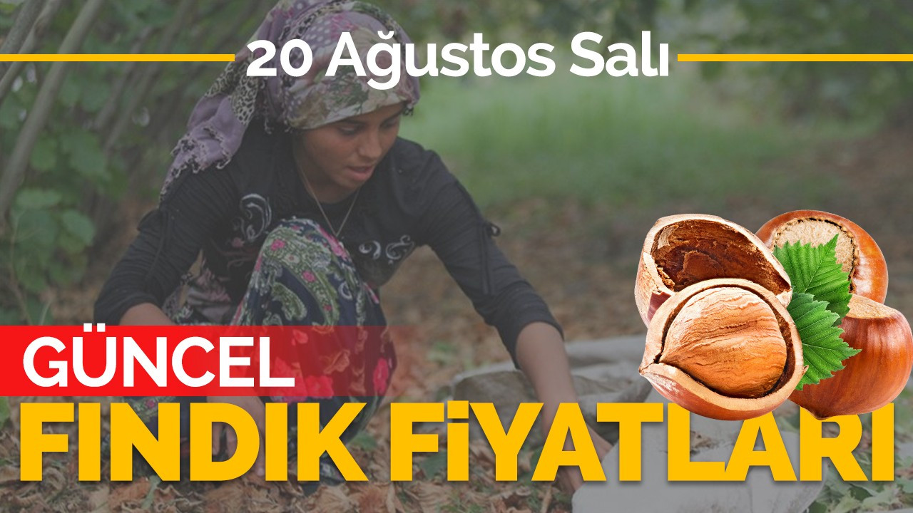 20 Ağustos Salı Güncel Fındık Fiyatları