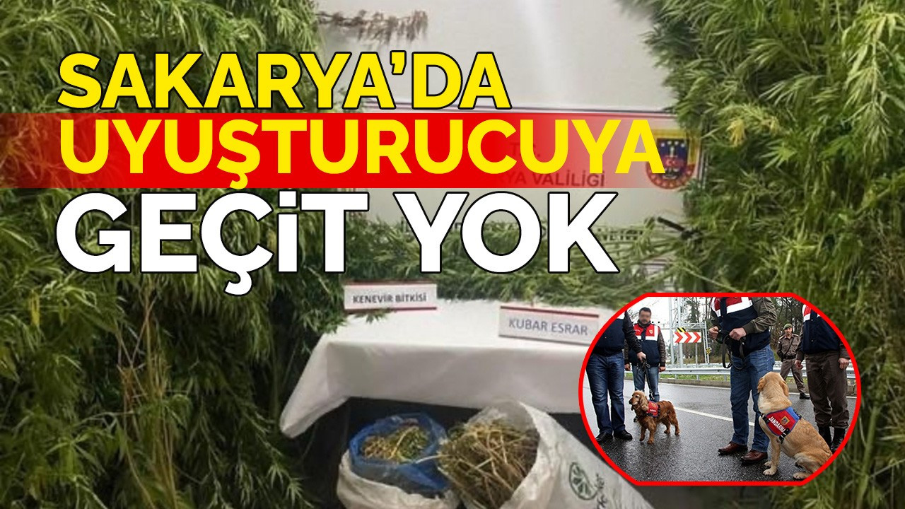 Jandarmadan uyuşturucuya geçit yok