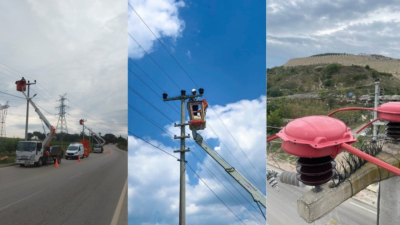 SEDAŞ, leyleklerin güvenliği yolculuğu için harekete geçti