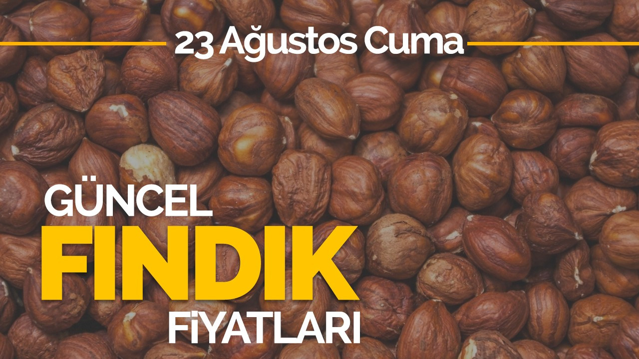 23 Ağustos Cuma Güncel Fındık Fiyatları